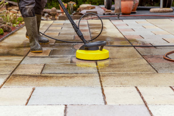 Best Animal Enclosure Cleaning  in Kenyon, MN